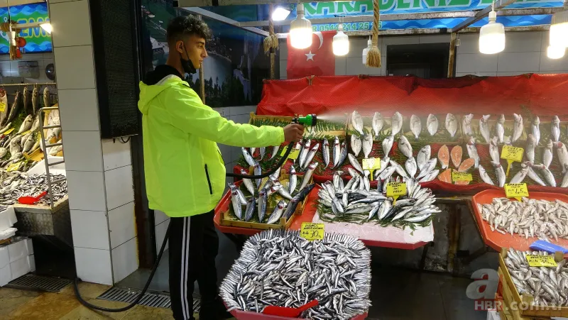 Balık fiyatları ne zaman düşer | Halden tezgaha bölge bölge fiyatlar değişiyor 10