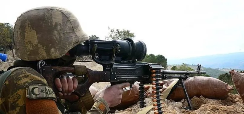 Son dakika: Kuzey Irak'a bir operasyon daha