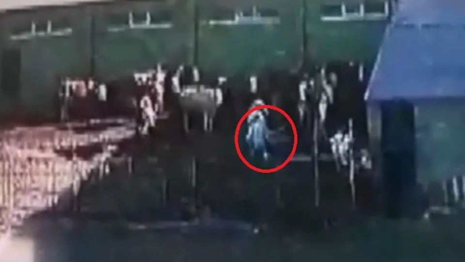 Son dakika: Kurban bayramı öncesi dehşet! Boğa saldırdığı sahibini böyle öldürdü