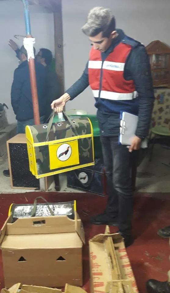 Horoz dövüştüren 39 kişiye gözaltı - 2