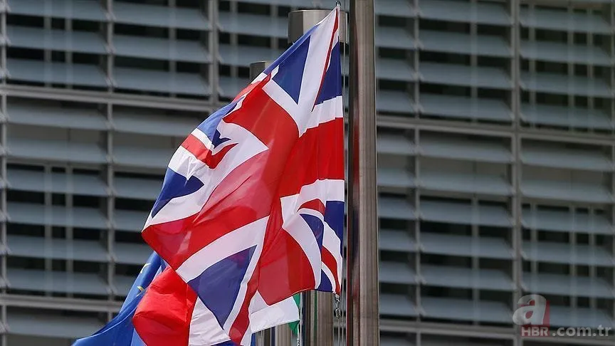 Kedi nüfusu en yüksek ülke açıklandı: ABD ilk sırada Türkiye ise… 8