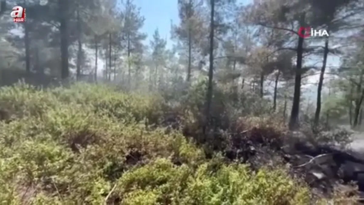 Osmaniye'de ormanlık alanda çıkan yangın söndürüldü