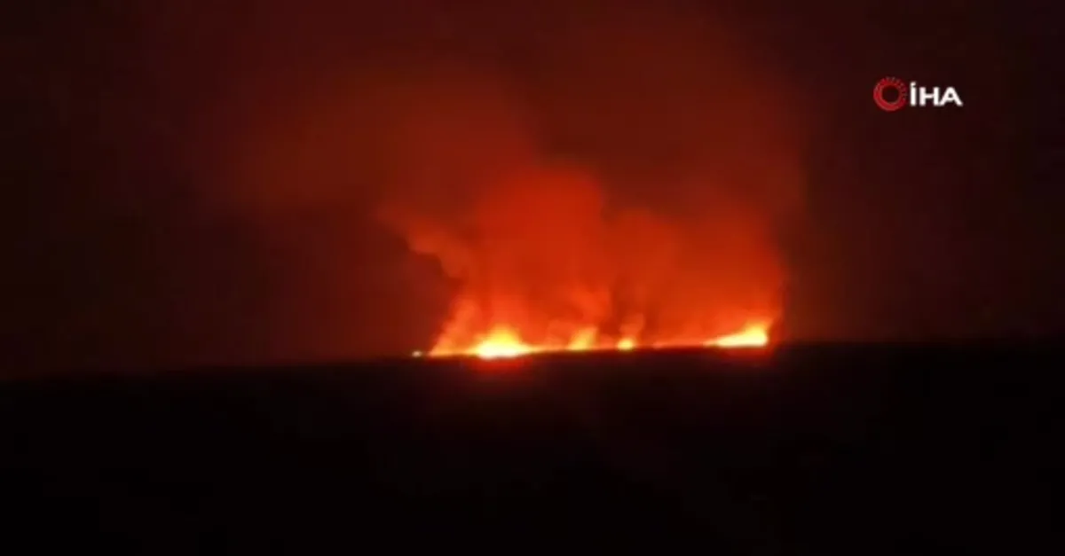 Hakkari'de kuş cennetinde korkutan yangın