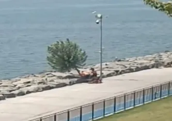 CHP'li İBB'den Florya sahilinde ağaç kıyımı