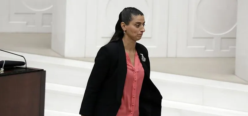 HDP'li Uca hakkında 4 suçtan 2 fezleke