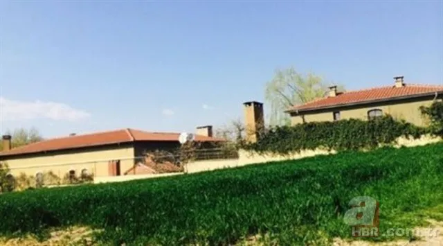 Biricik Suden traktör sürdü, çapa yaptı! Mazhar Alason’un eşinden köy hayatı
