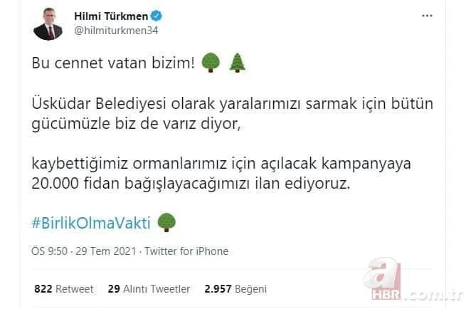 Türkiye yangına karşı tek yürek: Ünlü isimler de destek veriyor! Ormanlara ağaç dikilmesi için büyük kampanya başladı 15