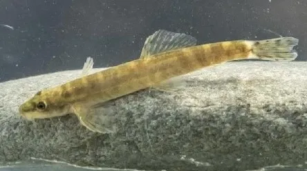 dunyaca-unlu-oyuncu-leonardo-dicaprionun-turkiye-paylasimi-dikkat-cekti-tam-47-sene-sonra-1641550758531.jpg Dünyaca ünlü oyuncu Leonardo DiCaprio’nun Türkiye paylaşımı dikkat çekti: Tam 47 sene sonra… - 2