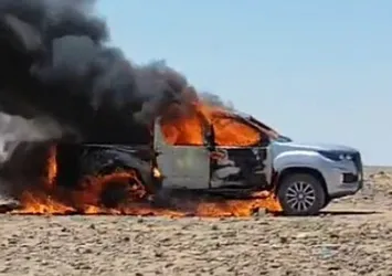 Şanlıurfa'da bir kamyonet alevlere teslim oldu