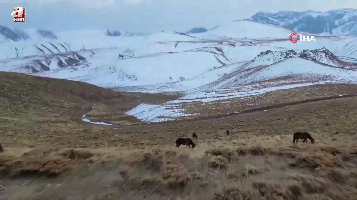 Gizemli yolculuk böyle kayda geçti
