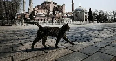 Sokağa çıkma yasağı ne zaman, saat kaçta başlıyor? Sokağa çıkma yasağı son dakika: Bu akşam yasak var mı?