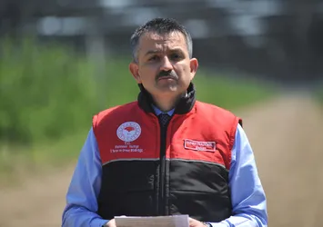 Başkan Erdoğan TMO alım fiyatlarını bayram sonunda açıklayacak