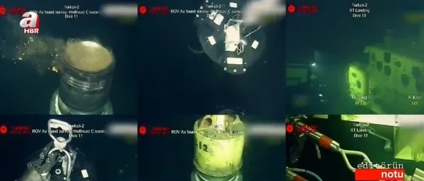 Başkan Erdoğan liderliğinde Berat Albayrak mimarlığında! Türkiye’de enerjide dışa bağımlılık bitme yolunda...