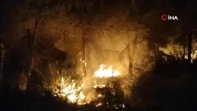 İstanbul’da orman yangını