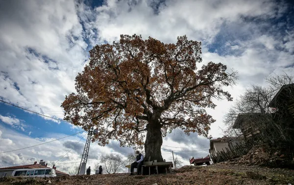 O mahallede hiç vaka görülmedi: Salgın sonrası nüfusu bir anda 10 katına çıktı