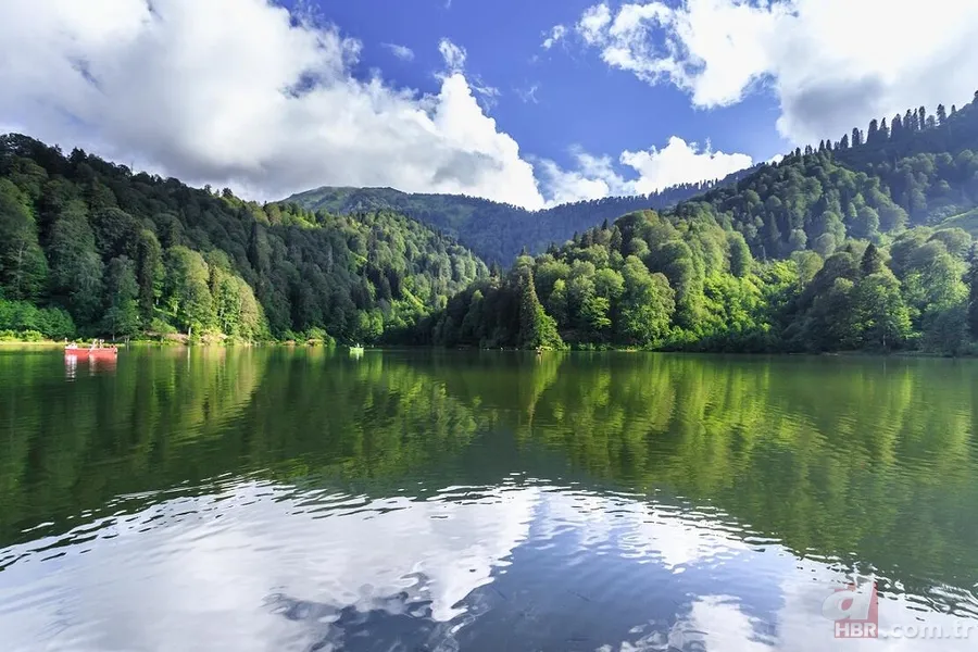 OGM personel alımı başvurusu nasıl yapılır? 3850 Orman Genel Müdürlüğü personel alımı başvuru şartları nelerdir? 8