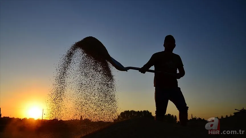 Müjde son dakika duyuruldu! Çiftçilere 5000 TL ikramiye verilecek mi? ÇKS belgesi olanlar ikramiye alacak mı? 10