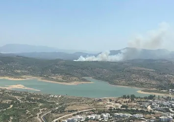 Son dakika: Milas'ta orman yangını: Kontrol altına alındı