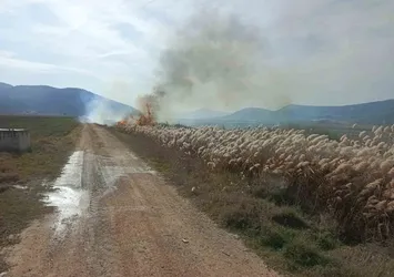 Bucak'ta arazi yangını