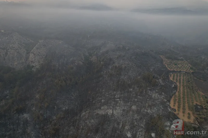Sakarya’da ciğerlerimiz yanıyor! Hasarın boyutu gün ağarınca ortaya çıktı 7