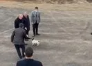 Başkan Erdoğan’dan hayvan barınağına ziyaret