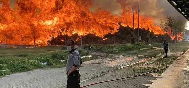 SON DAKİKA | Afyonkarahisar’da biyoenerji tesisinde büyük yangın