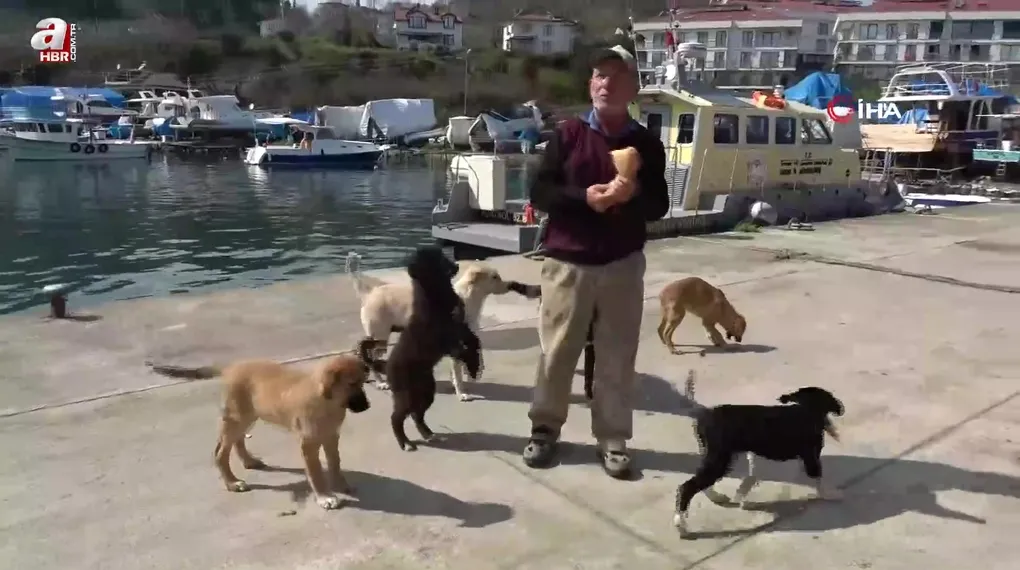 Olta tutkusu ile sokak köpeklerine şefkat