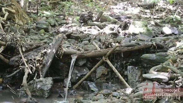 Ormanda su gücüyle bakın ne yaptı!