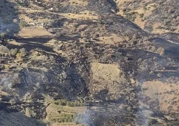 Kahramanmaraş'ta orman yangını!