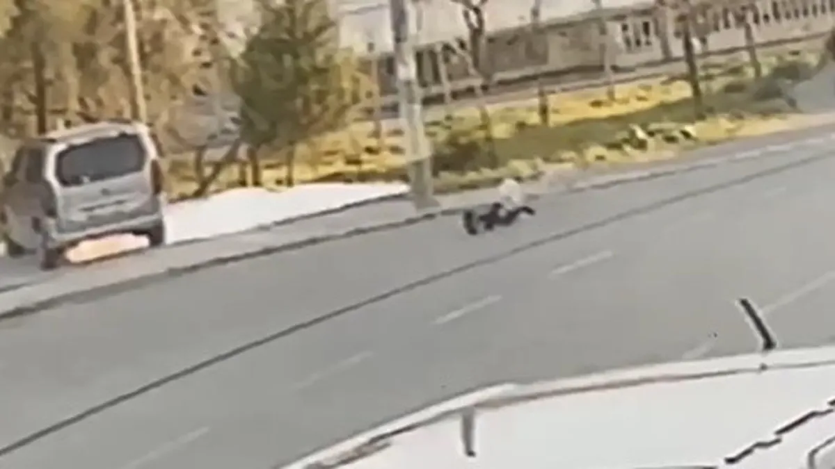 Sokak köpeği dehşeti bitmiyor! 8 yaşındaki çocuk zor kurtuldu