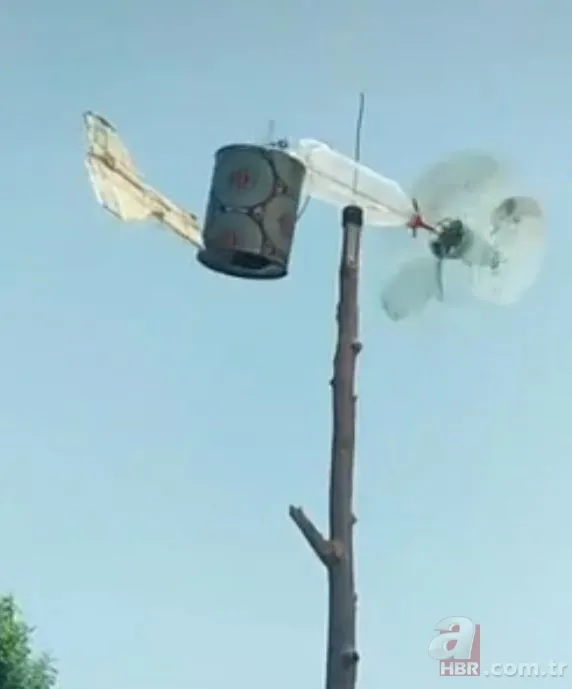 Yamyam çekirge o ilimizde yeniden ortaya çıktı 🦗 Kendi türünü yerken görüntülenmişti 13