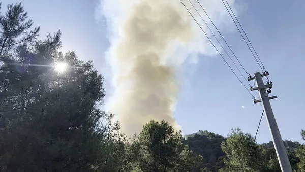 1689863363272.jpg Antalya’nın Alanya ilçesinde orman yangını kontrol altında - 4