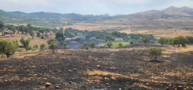 Diyarbakır'da otluk yangını