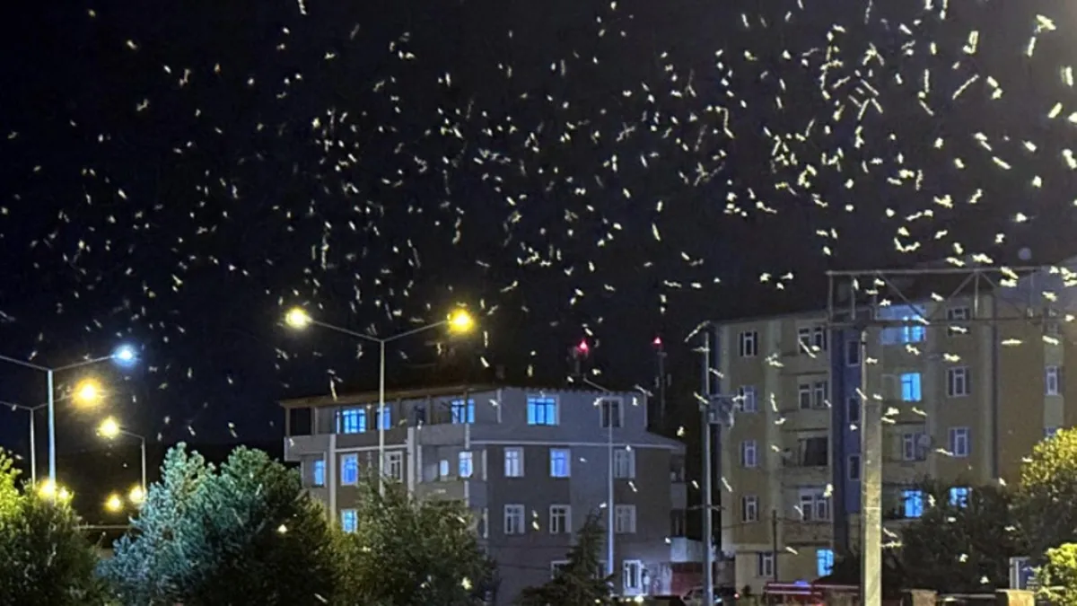 O ilimizde 10 gündür görülüyordu: "Ölüm dansı" sona erdi!
