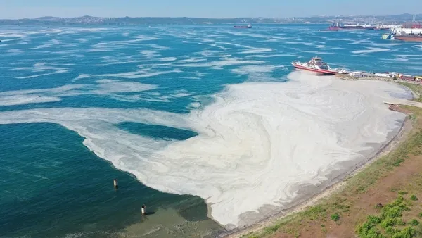 Uzman isimden korkutan uyarı! Marmara Denizi’ni felaket bekliyor