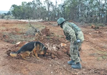 Hendek kahramanları Afrin’de
