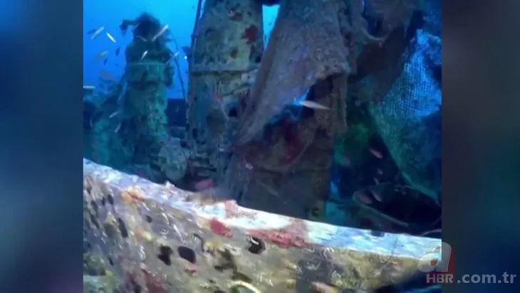 Deniz altındaki ölüm tuzağı: Yarım ton ağ temizlendi