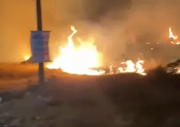 Didim'de 5 dönüm makilik alan yandı