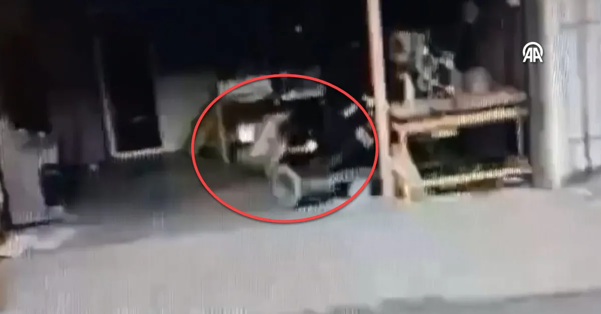 Adana'da bir iş yerinin kundaklanması güvenlik kamerasında