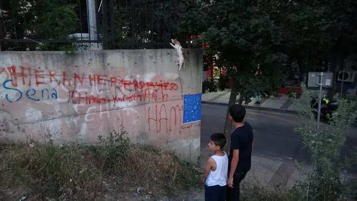 Son dakika: Sultangazi'de insanlık bitmiş dedirten vahşet! Boğazına ip bağlanan kediyi asarak öldürdüler - 2