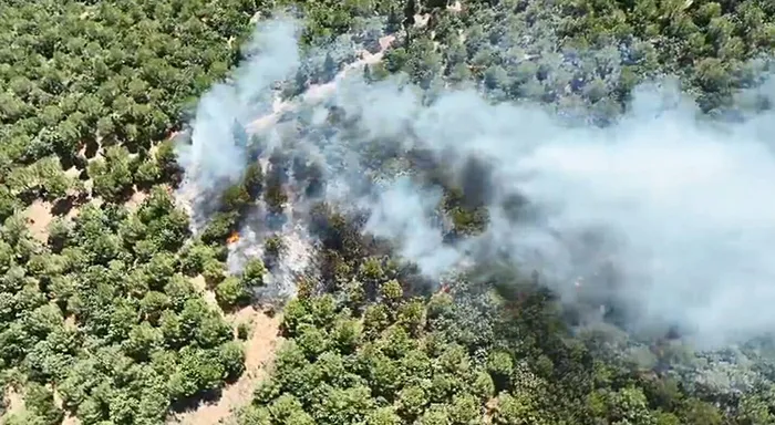 canakkalede-orman-yangini-alevlere-havadan-ve-karadan-mudahale-1721396492915.jpg Çanakkale'de orman yangını! Alevlere havadan ve karadan müdahale - 2