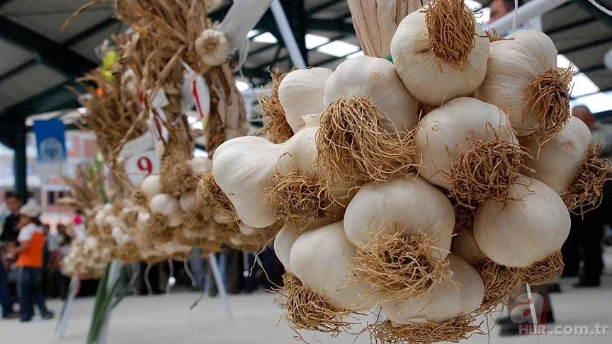 Şimdiye kadarki en kokulu sağlık sırrı! O basit sebze ağzı nasıl temizliyor? 2