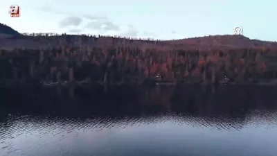 Alaska sonbahar renkleriyle görsel şölen sunuyor