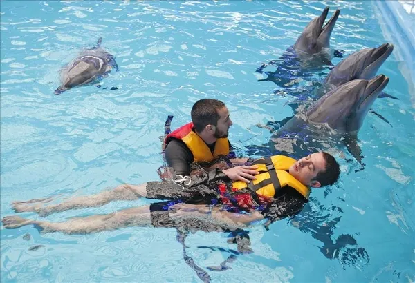 TBMM’de kabul edildi: Hayvanları Koruma Kanunu ve Türk Ceza Kanununda değişiklik!