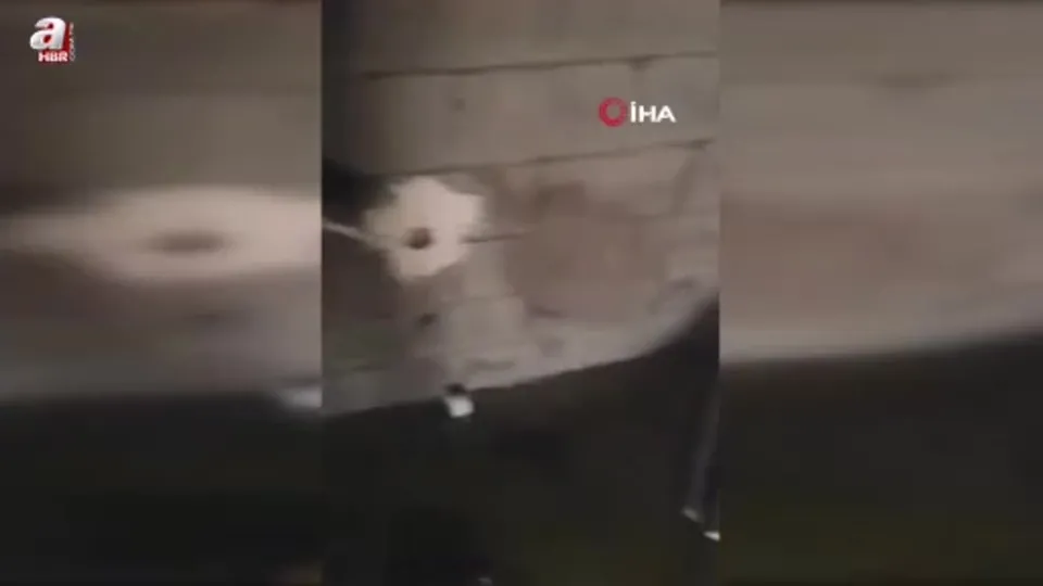 İşçilerin kaldığı evde yangın çıktı