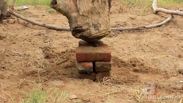 Öyle bir şey yaptı ki! Herkes hayran kaldı... 21