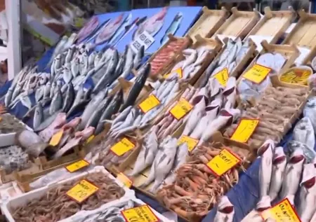 Hamsi, palamut, levrek, çupra, istavrit, mezgit, sardalye, palamut, kalkan, karides… İşte balık fiyatları