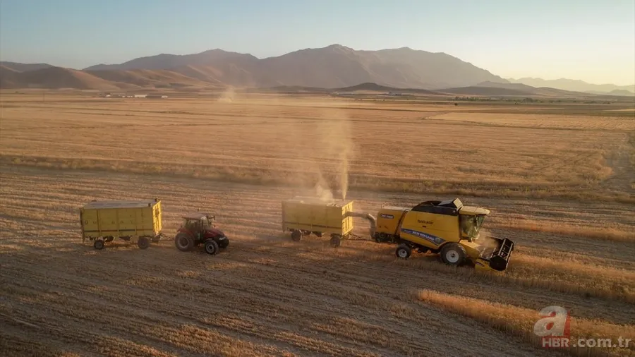 Van'da hububat üretiminde yüzde 75 artış! Sertifikalı tohumla ekim yapılıyor 7