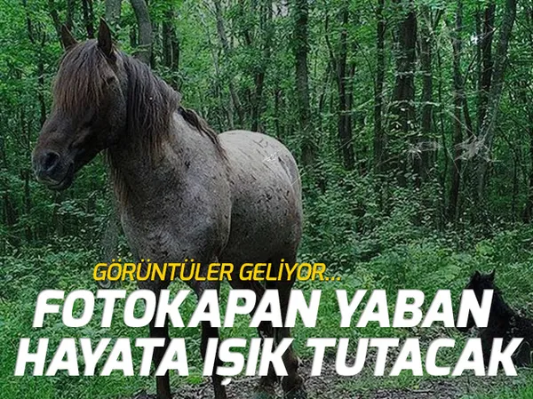 Gmail yine değişti! İşte o özellik... - 1