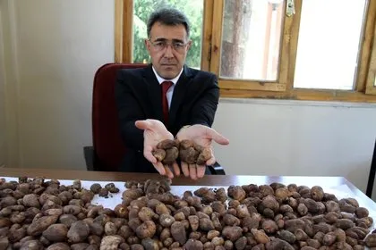 Evinde yabani orkide bulunan kişiye 40 bin lira para cezası